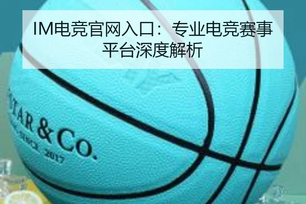 IM电竞官网入口：专业电竞赛事平台深度解析