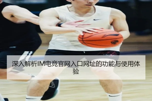 深入解析IM电竞官网入口网址的功能与使用体验