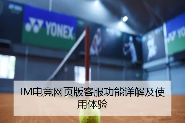 IM电竞网页版客服功能详解及使用体验