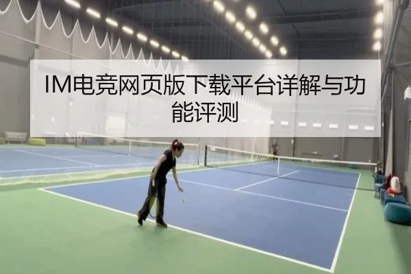 IM电竞网页版下载平台详解与功能评测