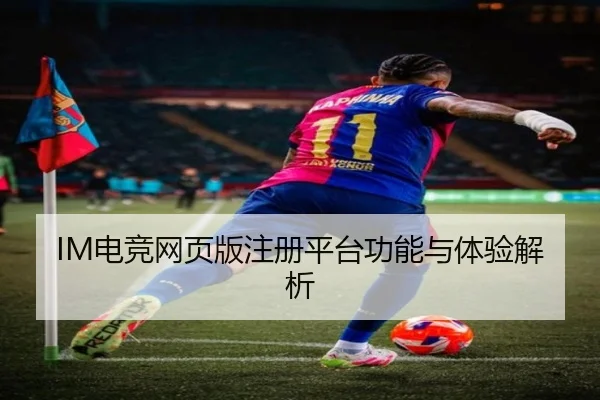 IM电竞网页版注册平台功能与体验解析