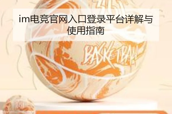 im电竞官网入口登录平台详解与使用指南