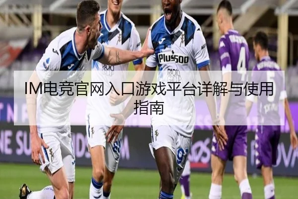 IM电竞官网入口游戏平台详解与使用指南