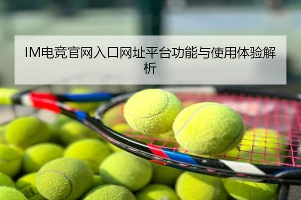 IM电竞官网入口网址平台功能与使用体验解析